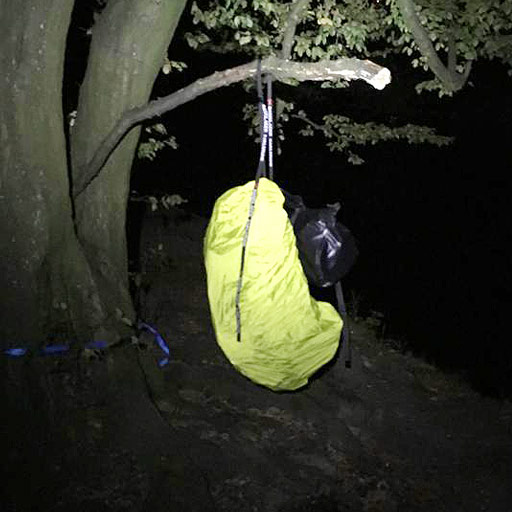 Saving the backpack from perky rats and critters by hanging it up in a tree.