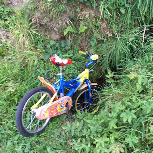 An old kids bike lost in the woods.