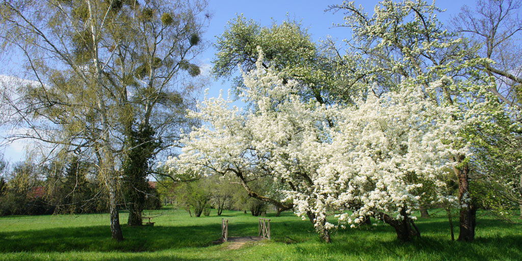 Spring in the palace garden in Marquardt.