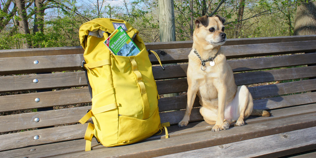 Madame Dog sitting on a bench next to my backpack.