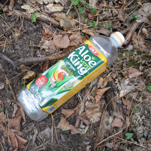 Plastic bottle in the woods.