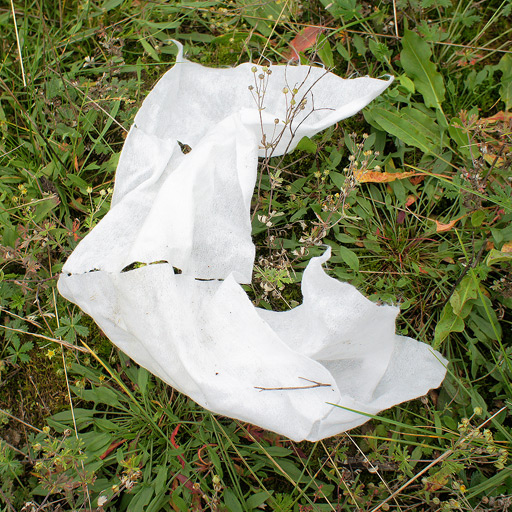 Wet wipes litter found in nature.