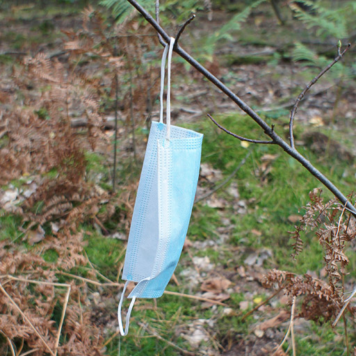 Face mask found hanging in a tree.