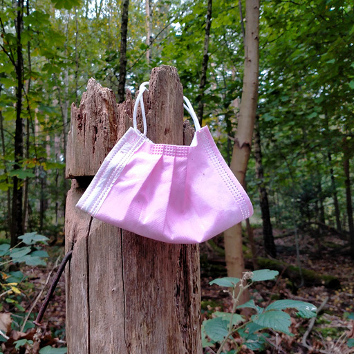 Pink face mask trash found hanging in the forest.