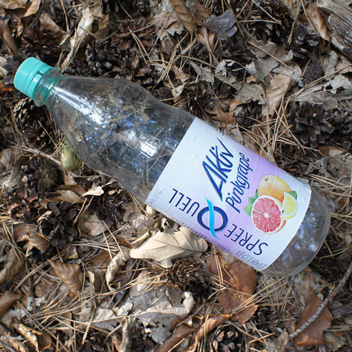Plastic bottle lying in the woods.