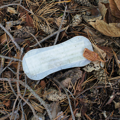 Sanitary napkin trash found in the woods.