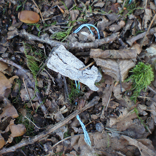Used Tampon found in the woods.